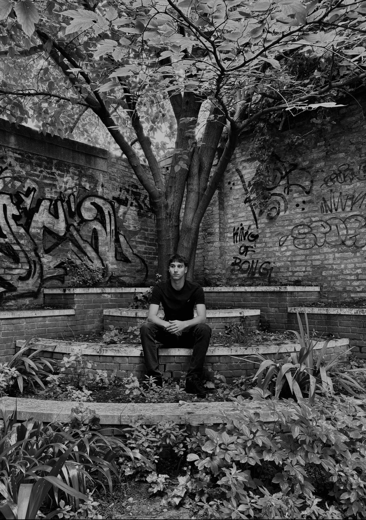 Tommaso Sgalippa Mendini