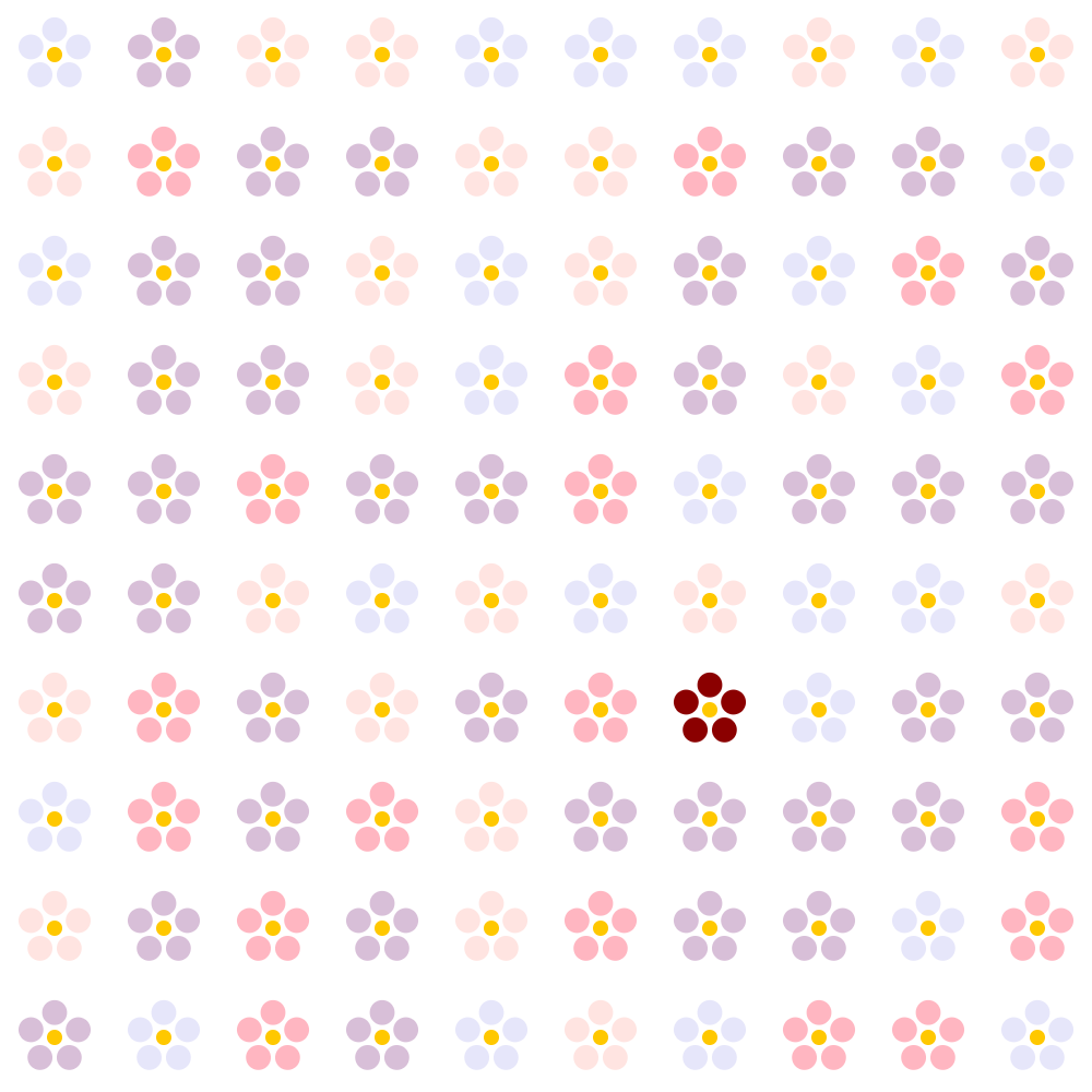 Novella Rossi – Pattern