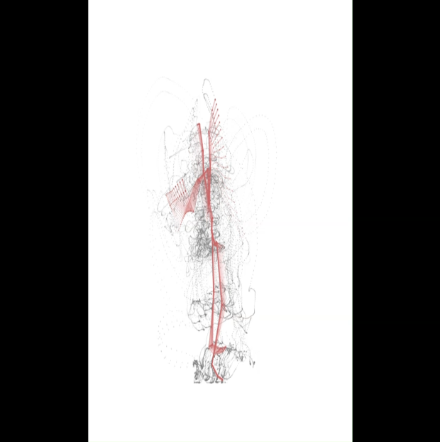 Andrea Alberton – Video
