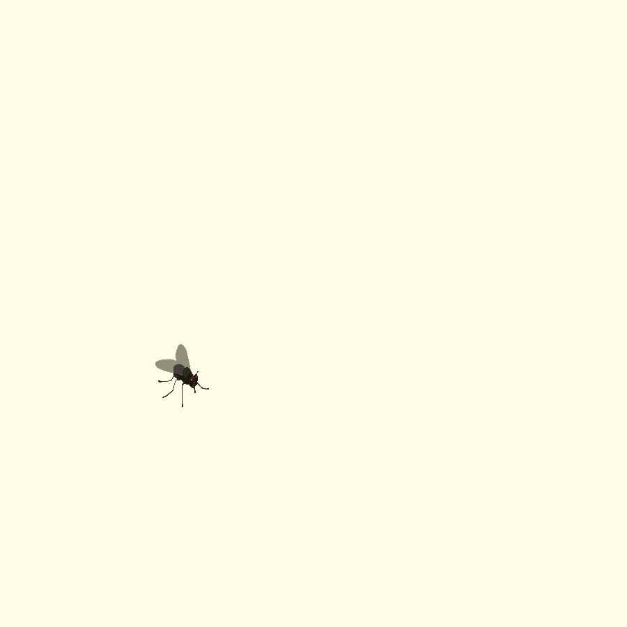 Emma Passarotto – Audio